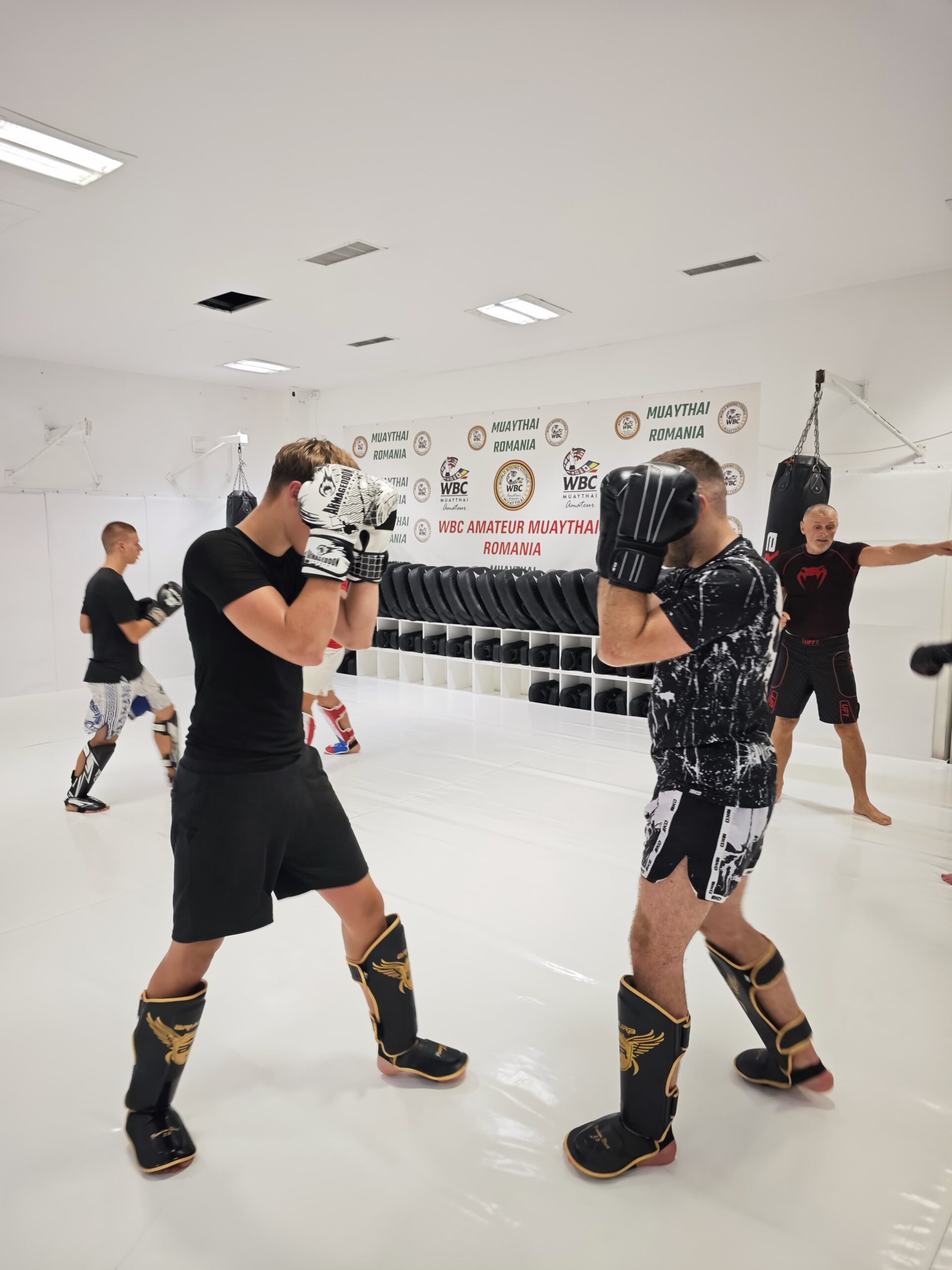 Cursuri de Kickboxing la MMA Transilvania Cluj-Napoca gym - MMA