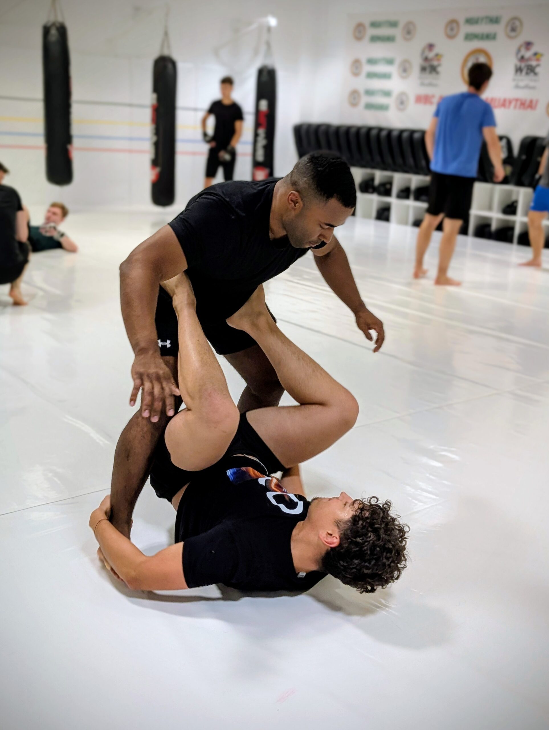 Cursuri de Grappling la MMA Transilvania Cluj-Napoca gym